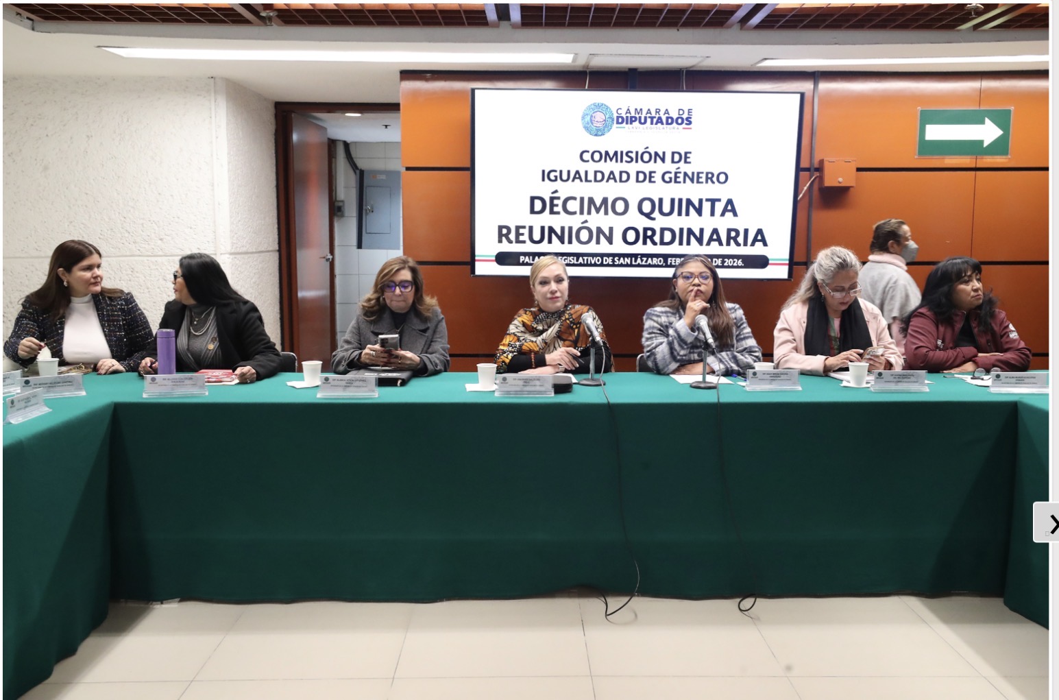 Diputadas Federales rechazan caso de mujer vinculada a proceso por violencia vicaria; se desvirtuó una figura jurídica creada para proteger a las mujeres